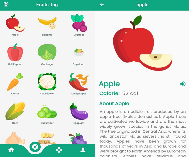 FruitTag